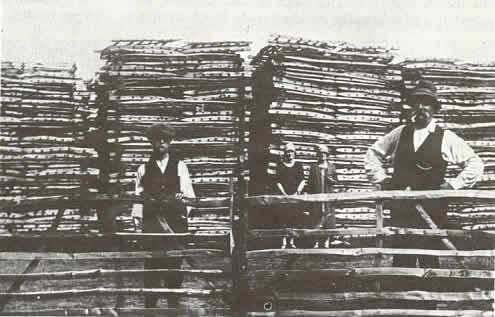 Pakenham Hurdleyard