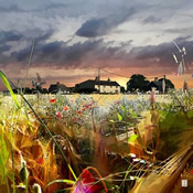 First Light by Bryan Trueman