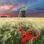 Summertime by Bryan Trueman
