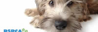 20191010 - WI - The History & Role Of The RSPCA